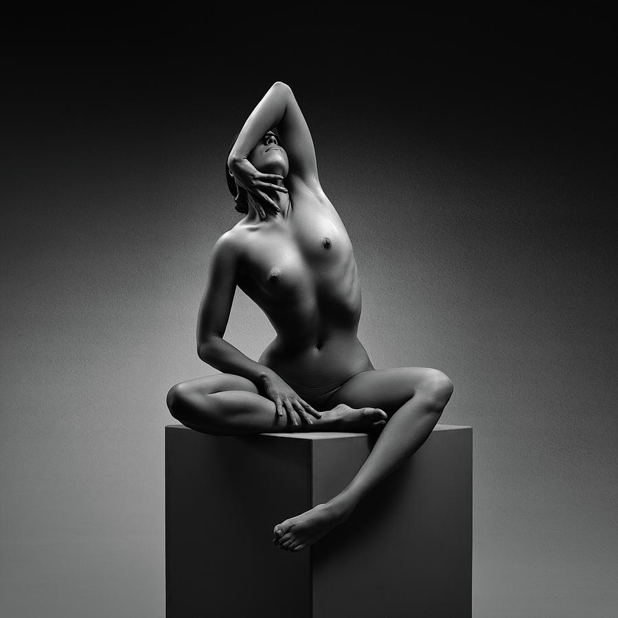 Nude Woman Fine Art Photograph By Johan Swanepoel Pixels