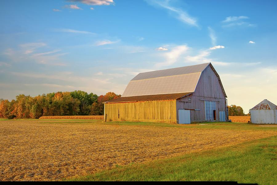 Old Weathered Barn With Woods And Corn Field Howard County Indi