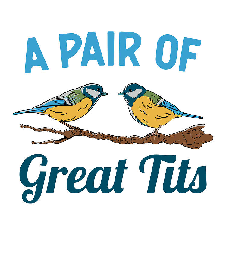 Pair Of Great Tits Funny Bird Watching Gift Digital Art By P A Fine