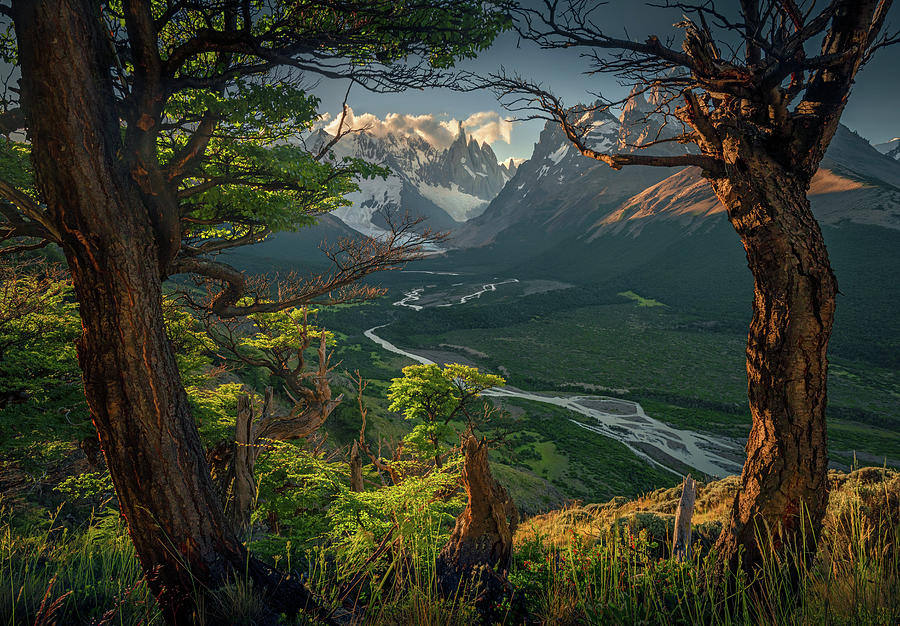 Patagonian Summer Pyrography By Max Rive Fine Art America