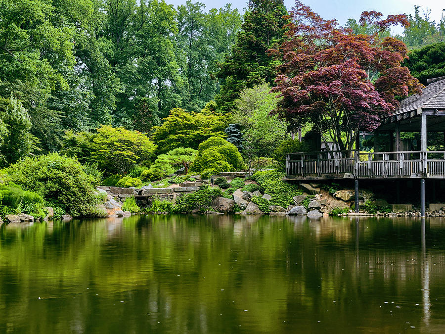 Peaceful Feeling Photograph By Laurie Groh Radcliffe Fine Art America