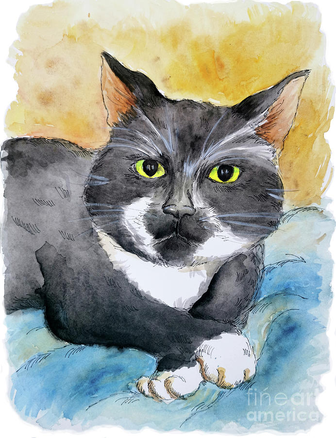 Pet Portrait Of Tuxedo Cat Watercolor Drawing Painting By Nalidsa