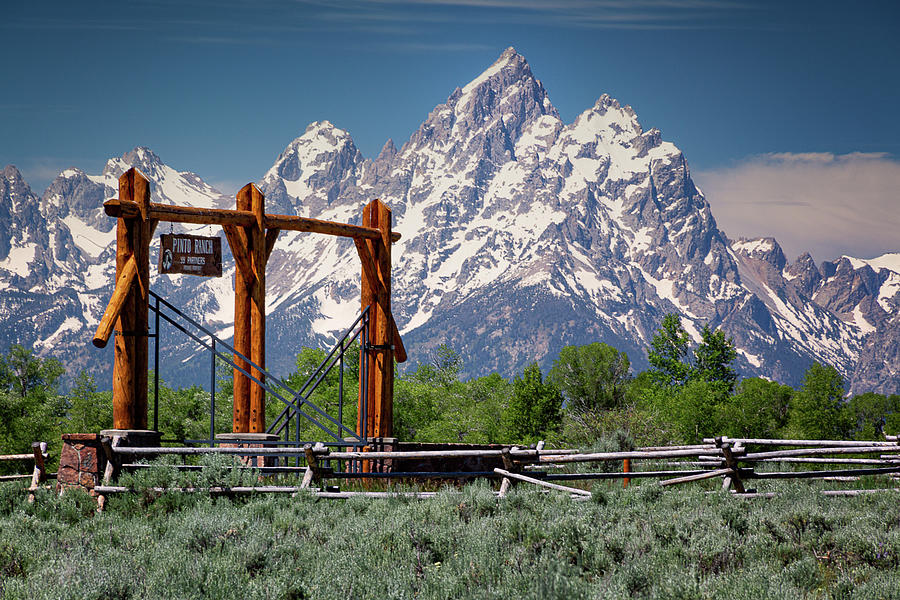 Pinto Ranch Photograph By Saskia Vaughan Fine Art America