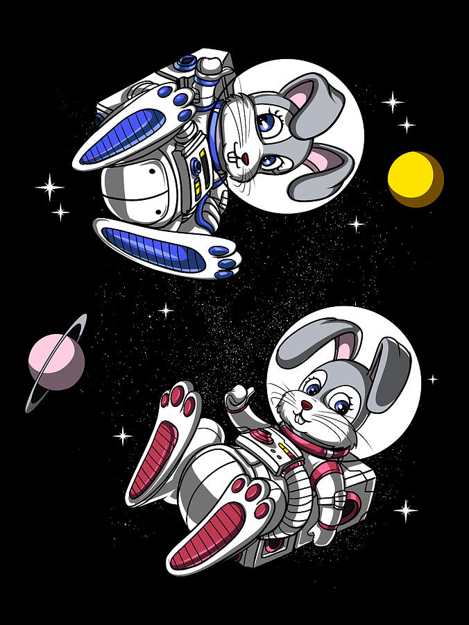 Rabbit Space Astronaut Digital Art By Nikolay Todorov Pixels