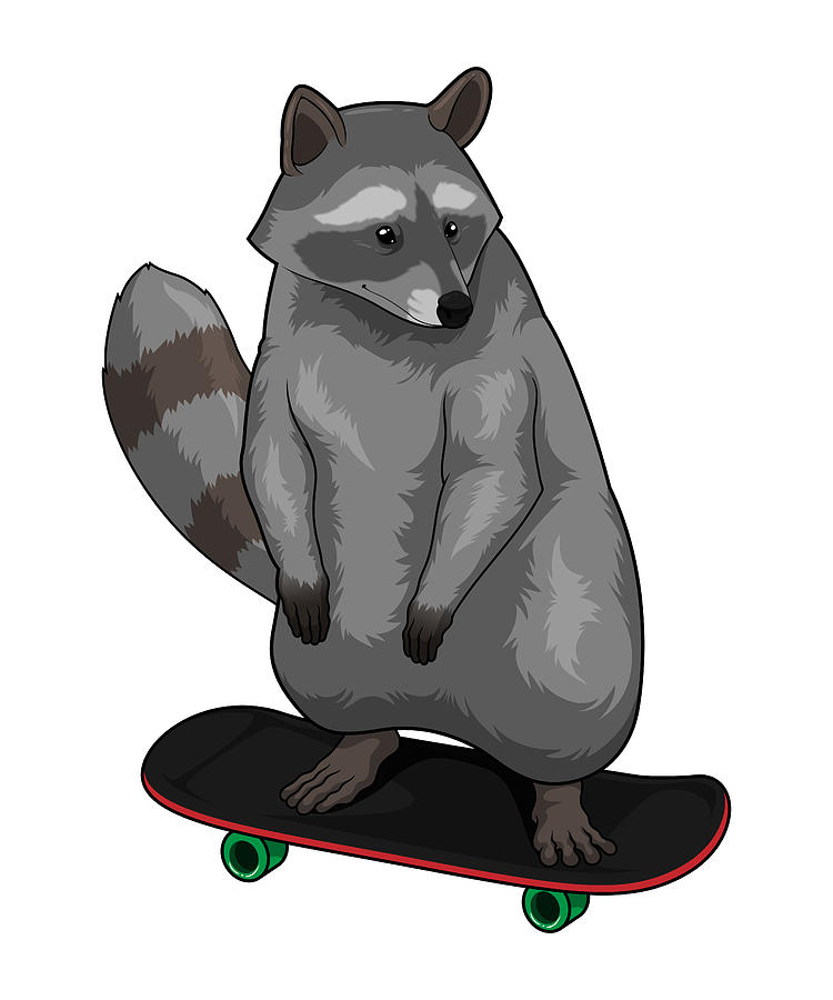 Racoon Skater Skateboard Painting By Markus Schnabel Fine Art America