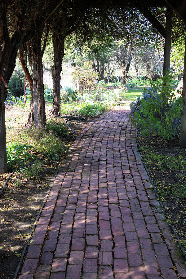 Red Brick Road Photograph By Pauline Darrow Fine Art America