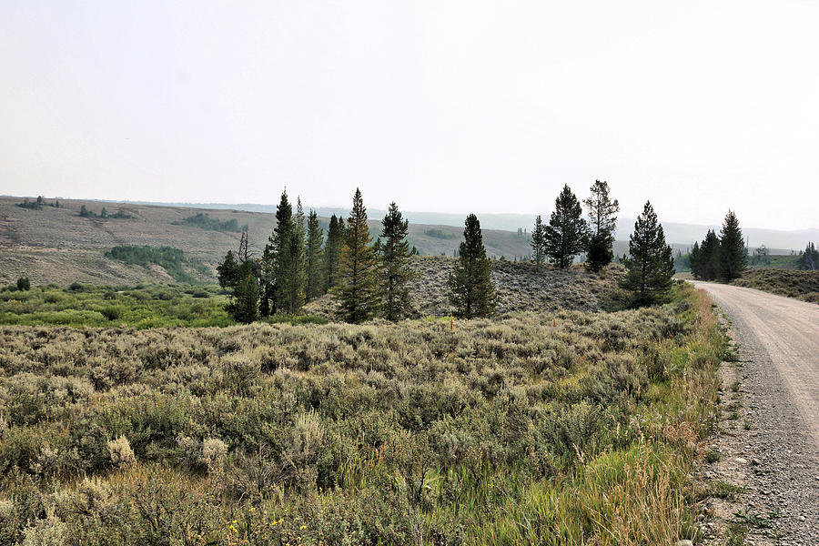 Road Along The Green River To Green River Lakes Wyoming Photograph By