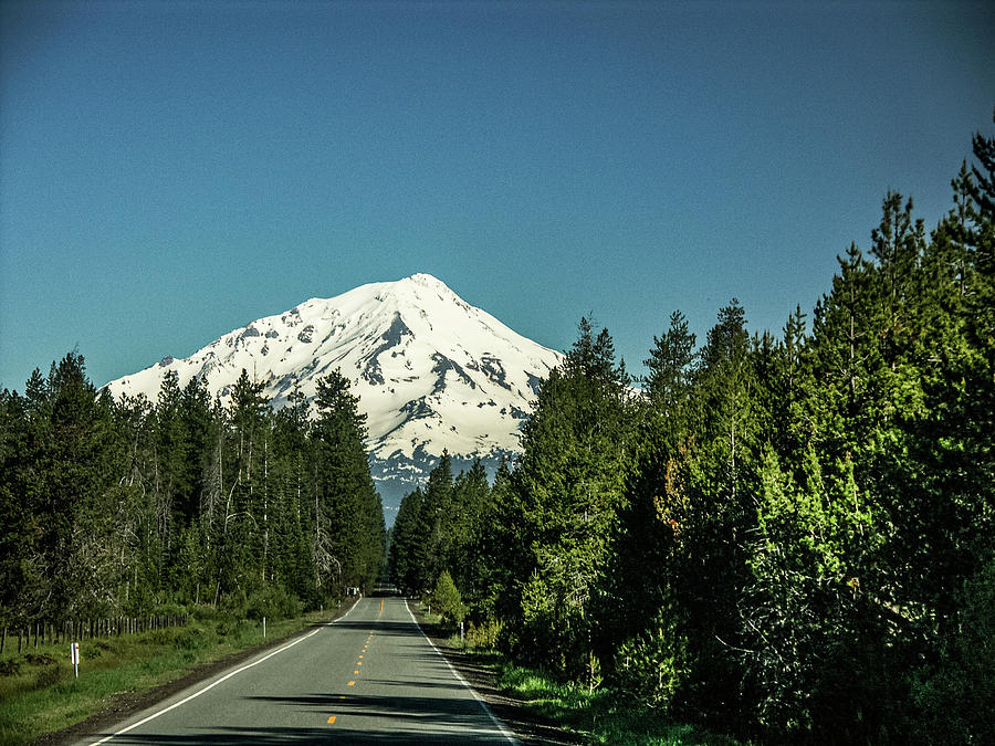 Road To Mount Shasta Photograph By Patricia Betts Fine Art America