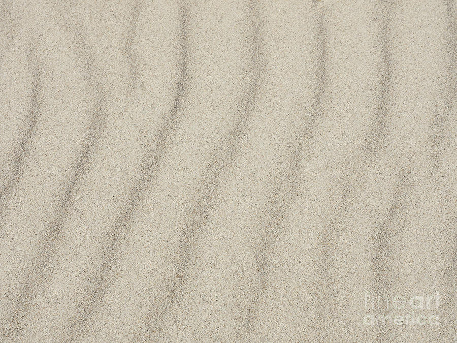 Sand On A Beach Photograph By Andreas Berheide Fine Art America