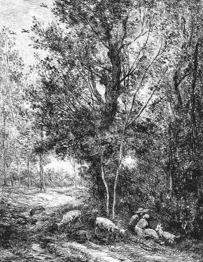 Shepherd And Shepherdess Drawing By Charles Francois Daubigny Pixels