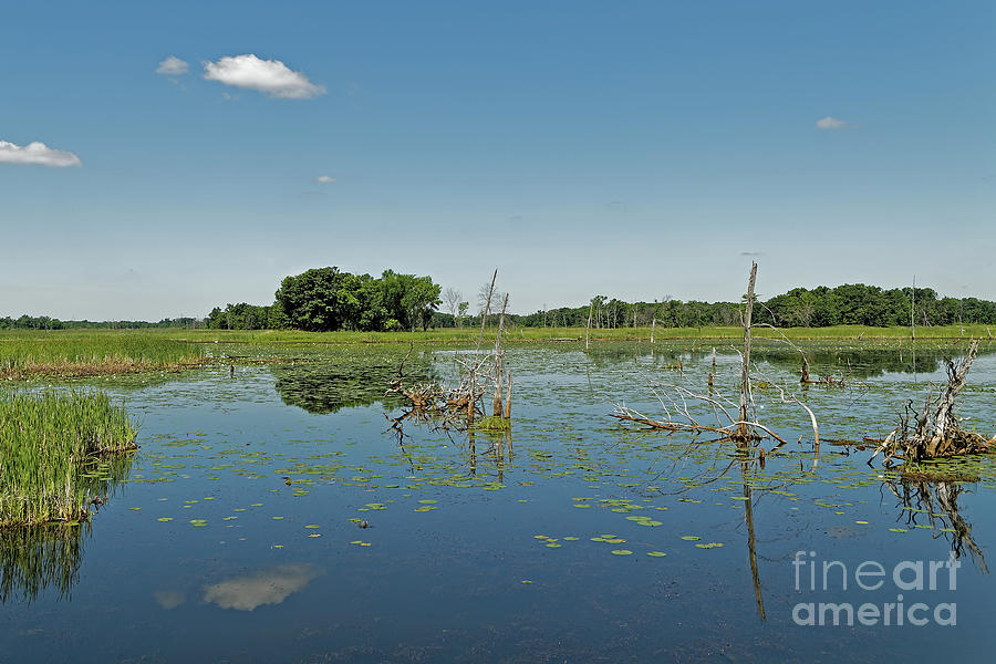 Sherburne National Wildlife Refuge Lake Photograph By Natural Focal