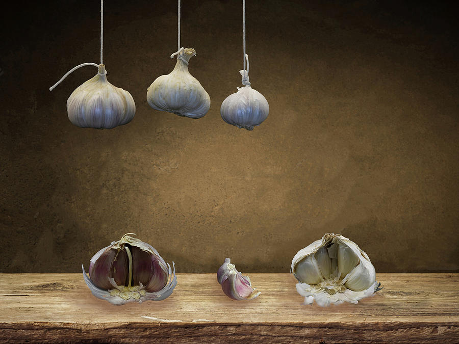 Garlic Photograph By Bart Van Den Berg Fine Art America