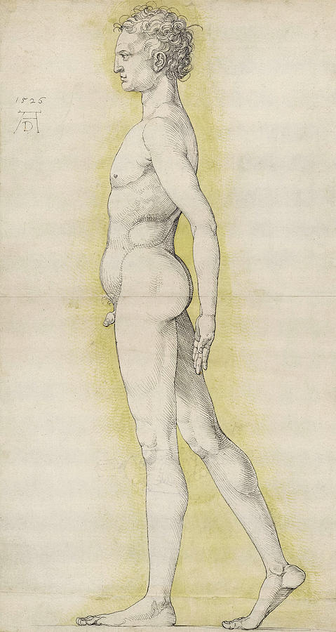 Study Of A Nude Man Walking Painting By Albrecht Durer Fine Art America