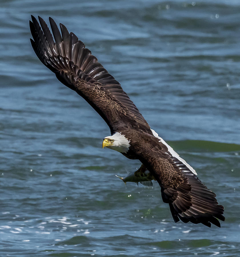 Sucess Photograph By Brian Shoemaker Fine Art America