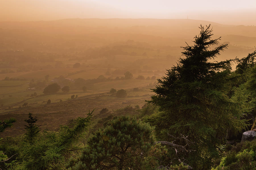 Sunset Lights The Trees Heather And Rocks At The Roaches Peak