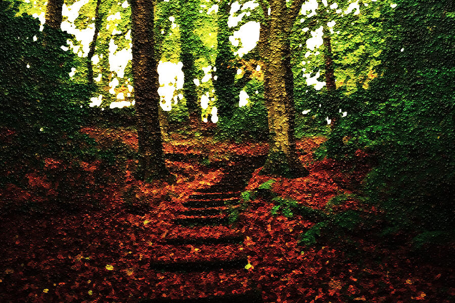 The Painted Forest Photograph By Neil R Finlay Fine Art America