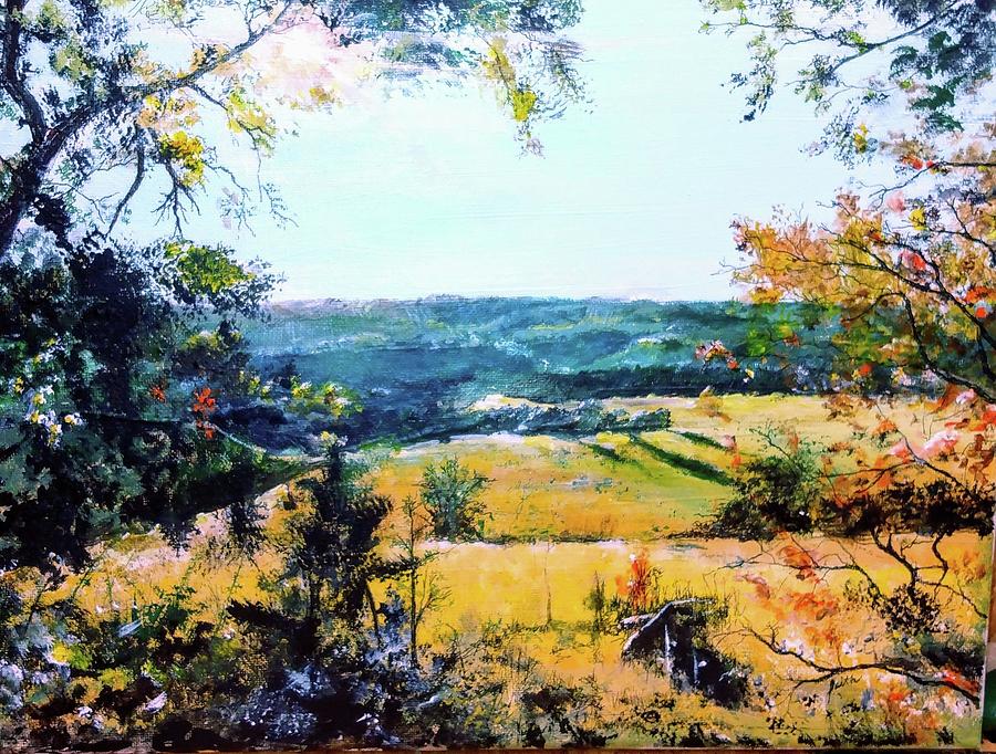 The View Painting By Faith Berrier Fine Art America