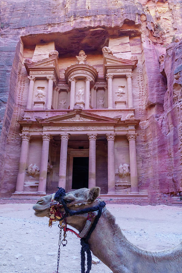 Treasury Al Khazneh In The Ancient Nabatean City Of Petra Photograph