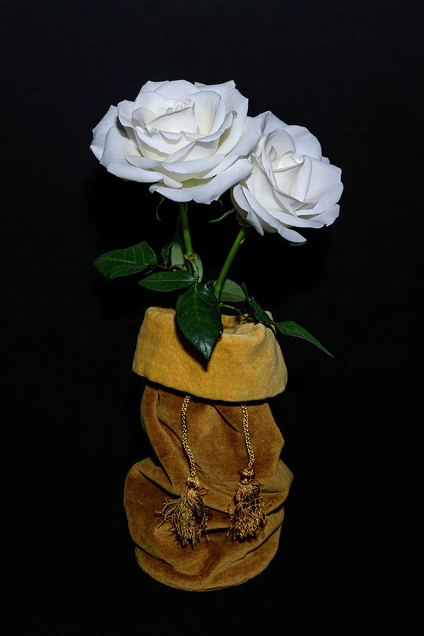 Two Roses In A Bag Photograph By Sandi Kroll Pixels