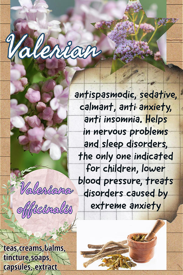 Valerian Benefits Photograph By Ana Naturist Pixels