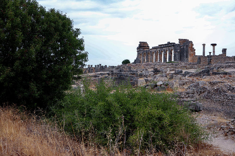 Volubilis Photograph By Brian M Lumley