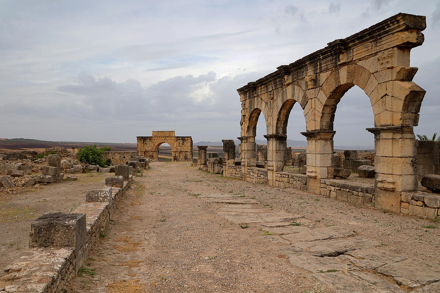 Volubilis Morocco Photograph By Brian M Lumley Fine Art America