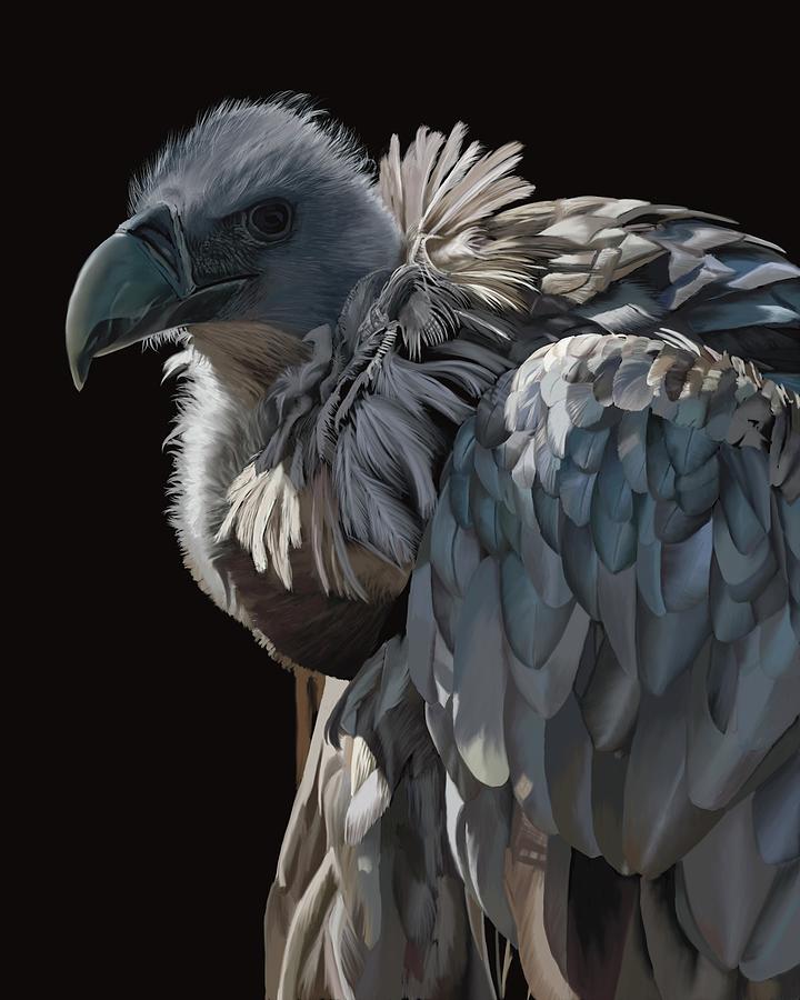 Vulture Digital Art By Wendy Annal Fine Art America