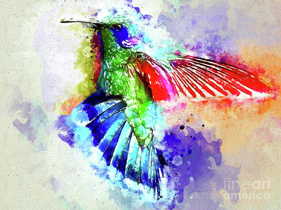 Watercolor Hummingbird Splash Mixed Media By Daniel Janda Fine Art