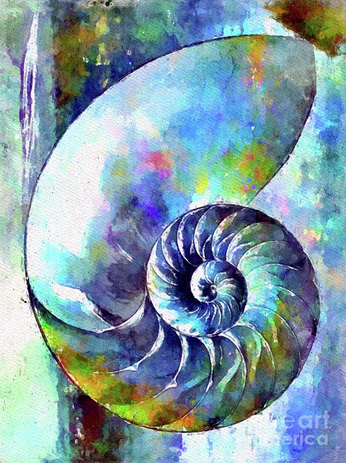 Watercolor Nautilus Shell Mixed Media By Daniel Janda Fine Art America