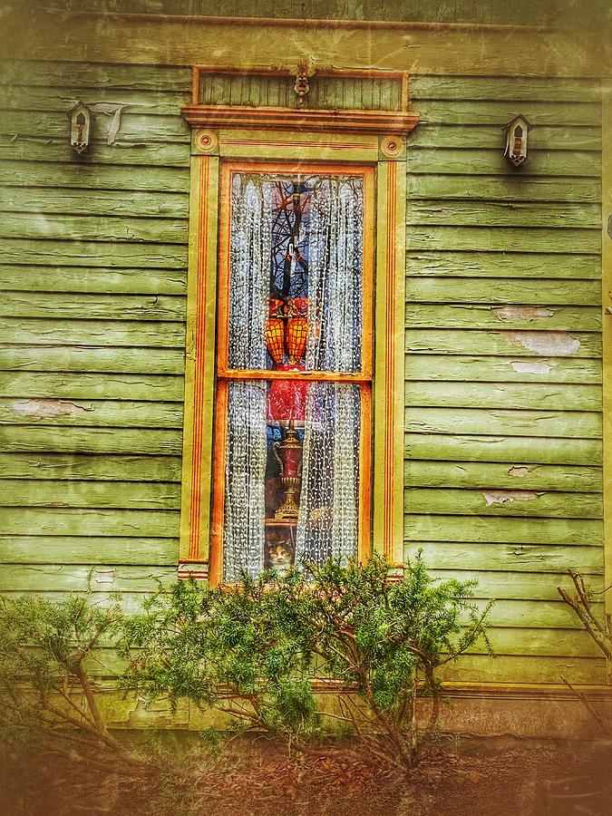 Window Cat Photograph By Mark Pritchard Fine Art America