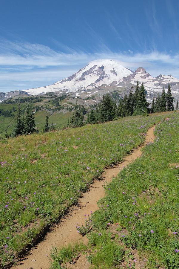 Wonderland Trail Mount Rainier Photograph By Chris Pappathopoulos