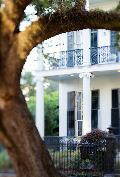 The Dreamery Fine Art Photography - Garden District Stroll Print The Dreamery Fine Art Photography - Garden District Stroll Print
