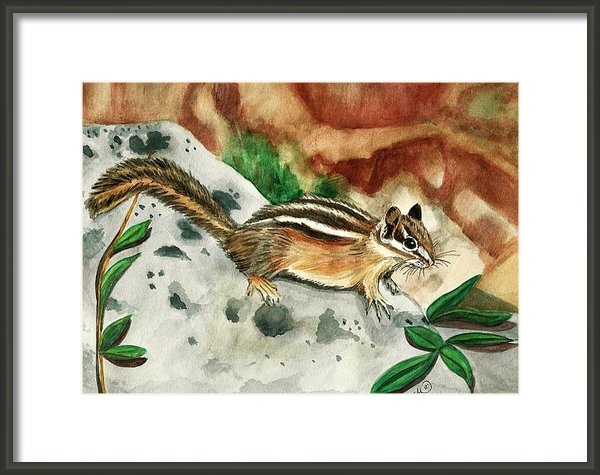 Marcianna Howard - Eastern Chipmunk Print Marcianna Howard - Eastern Chipmunk Print