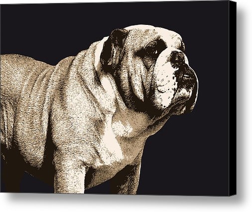 Michael Tompsett - Bulldog Spirit Print Michael Tompsett - Bulldog Spirit Print