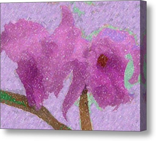 Barbie Corbett-Newmin - Two Hothouse Beauties Print Barbie Corbett-Newmin - Two Hothouse Beauties Print