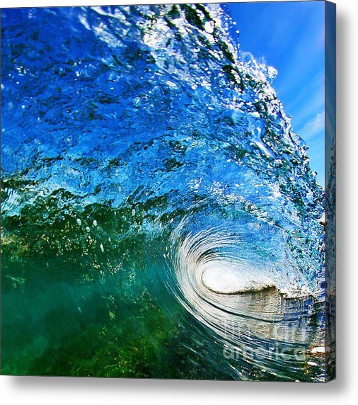 Paul Topp - Blue Tube Print Paul Topp - Blue Tube Print