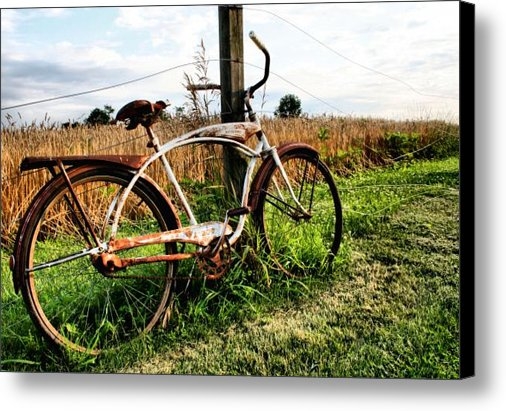 Doug Hockman Photography - Forgotten Bicycle Print Doug Hockman Photography - Forgotten Bicycle Print