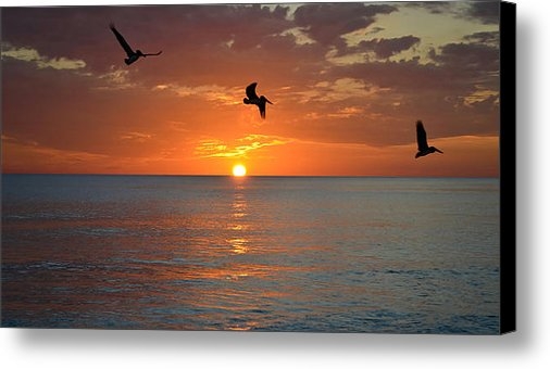 Elbe Photography - Sunset Trio Print Elbe Photography - Sunset Trio Print
