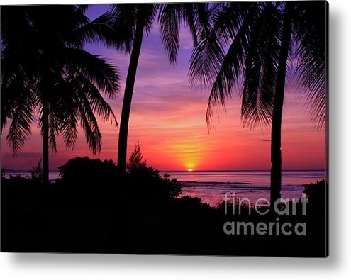 Scott Cameron - Palm Tree Sunset in Parad... Print Scott Cameron - Palm Tree Sunset in Parad... Print