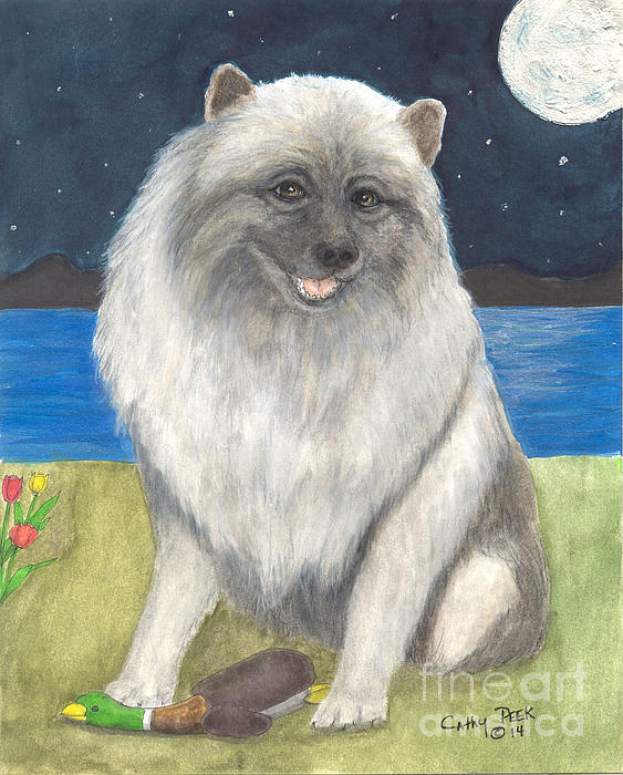 Keeshond Dog Toy Ducky River Moon Cathy Jigsaw Puzzle