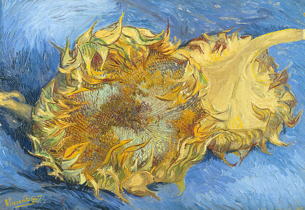 Sunflowers Series, 1888-1889 Jigsaw Puzzle by Vincent van Gogh - Fine Art  America