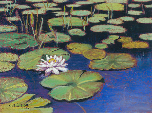Victoria Storey - Lilly Pads