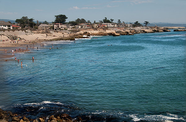 Santa Cruz Coast 1 Greeting Card by Mitch Diamond