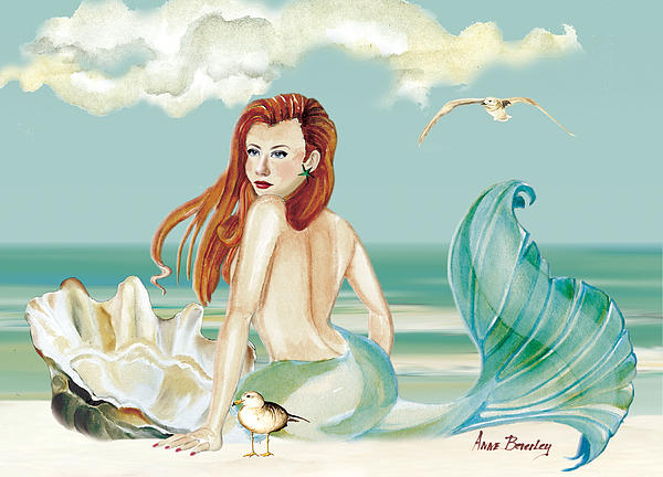 Shell Art