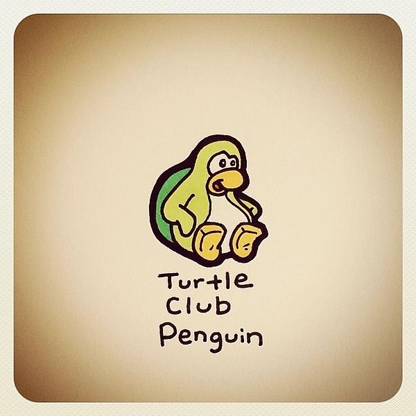 Turtle Club Penguin by Turtle Wayne