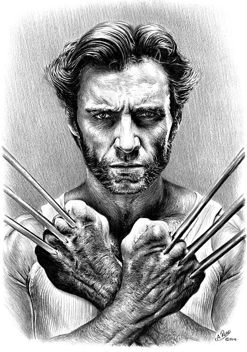 Wolverine Face Mask By Andrew Read - Pixels