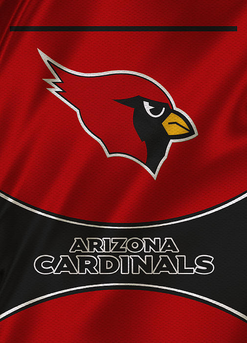 Arizona Cardinals Team Jersey Apple iPhone Pro Case
