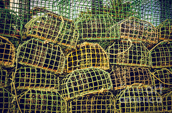 Fishing Traps #2 T-Shirt by Carlos Caetano - Pixels