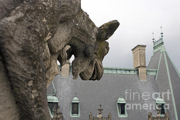 https://images.fineartamerica.com/images-medium-5/2-gargoyles-on-roof-of-biltmore-estate-jason-o-watson.jpg