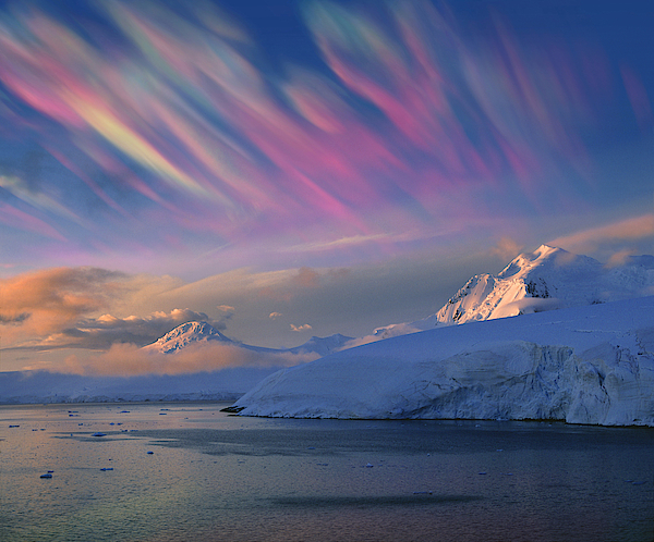 Nacreous pillow clearance cover